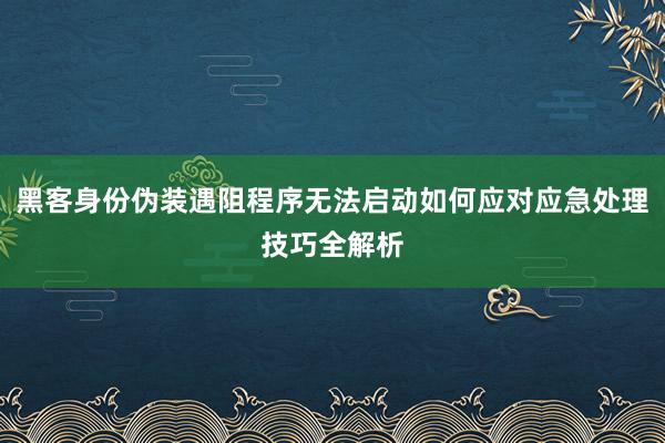 黑客身份伪装遇阻程序无法启动如何应对应急处理技巧全解析