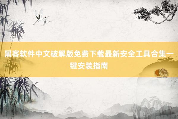 黑客软件中文破解版免费下载最新安全工具合集一键安装指南